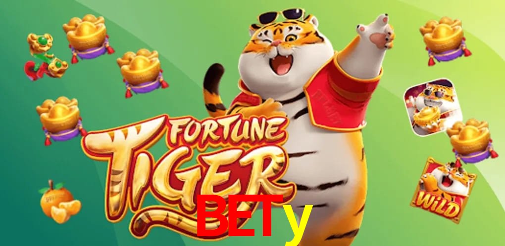 Experiência VIP bety
